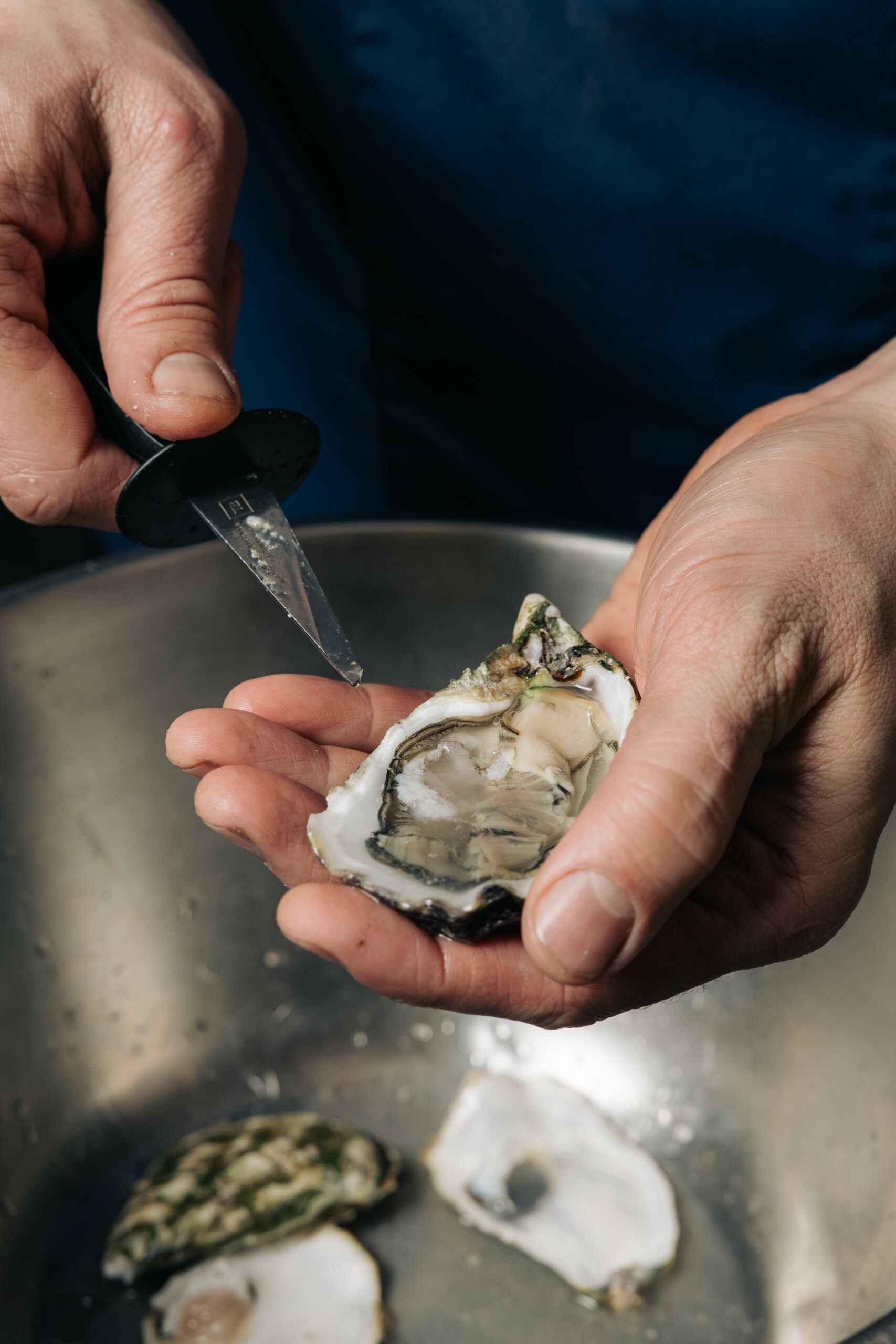 Cuisine de Thomas Paulvaiche